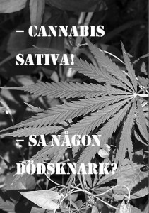 cannabis-folder