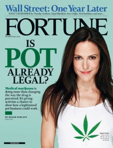 Fortune medicinsk marijuana USA