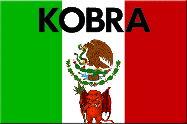Mexico drug war Kobra TV SVT