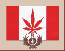https://cannabis.se/images/CanadianMedCanFlag.png
